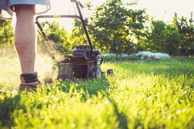 Een grasmaaier rijdt door hoog groen gras